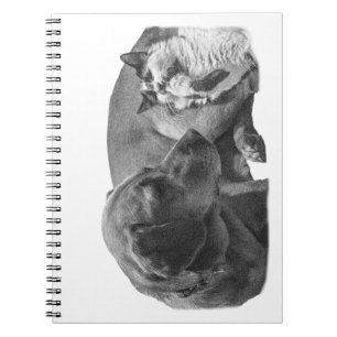 Notes with a Cosy Duo Notebook