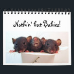 Nothin' but Babies! Calendar<br><div class="desc">Chock full of baby rat adorableness for every month of the year!</div>