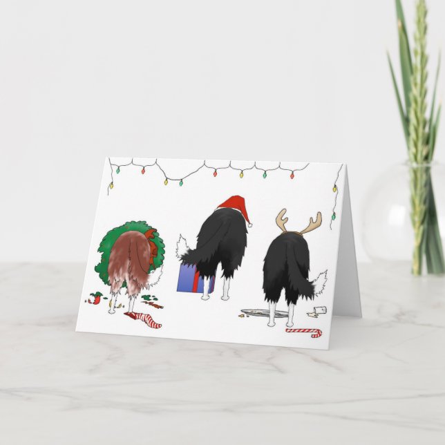 Nothin' Butt A Border Collie Christmas Holiday Card (Front)