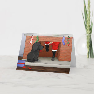 Nothin' Butt A Newfie Christmas Holiday Card