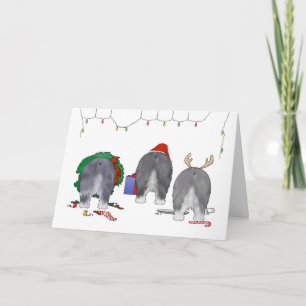 Nothin' Butt A Sheepdog Christmas Holiday Card