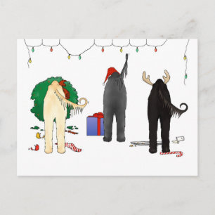 Nothin' Butt An Afghan Christmas Holiday Postcard