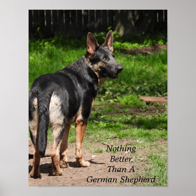 Nothing Better than A German Shepherd Poster (Front)