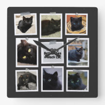 Nothing Better Then A Black Cat