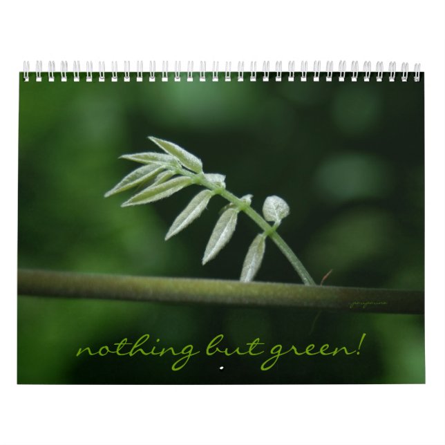 nothing but green! calendar (Cover)