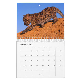 Nothing but Leopards - 2018 Calendar