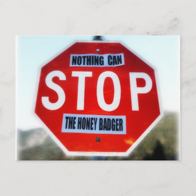 Nothing Can STOP th Honey Badger Postcard (Front)