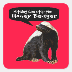 Nothing Can Stop the Honey Badger! (He speaks) Square Sticker