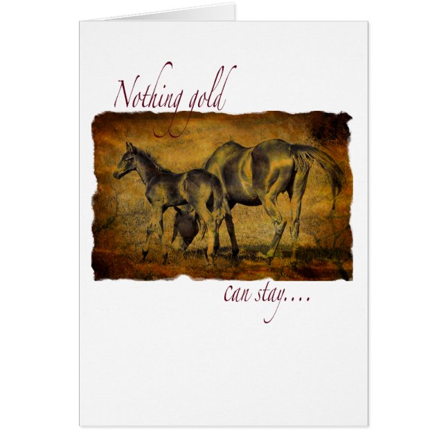 Nothing Gold Can Stay (Front)