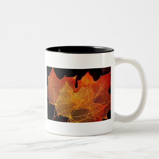 Nothing Gold Can Stay Two-Tone Coffee Mug (Right)