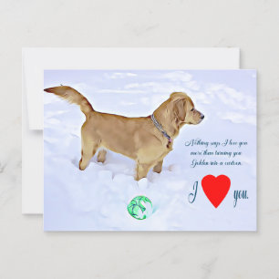 Nothing Says I Love You more Golden Retriever Postcard