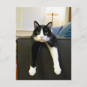 Nothing to Do Postcard