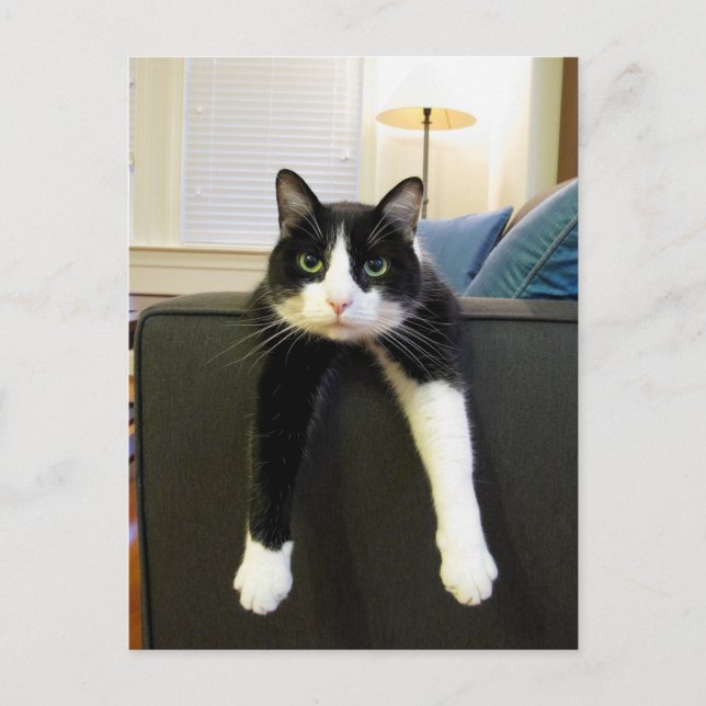 Nothing to Do Postcard (Front)