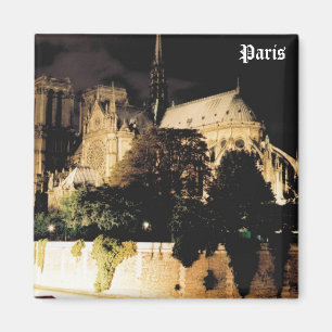 Notre Dame at night.  Paris, France. Magnet