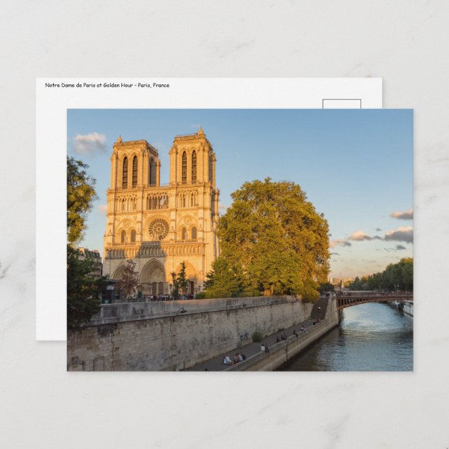 Notre Dame de Paris at Golden Hour - Paris, France Postcard (Front/Back)