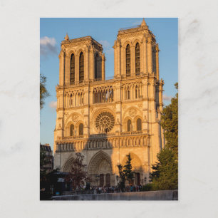 Notre Dame de Paris at Golden Hour - Paris, France Postcard
