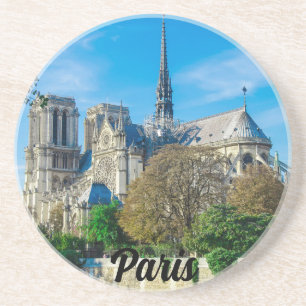 Notre Dame de Paris in France Coaster