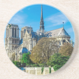 Notre Dame de Paris in France Coaster