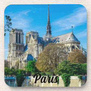 Notre Dame de Paris in France Coaster