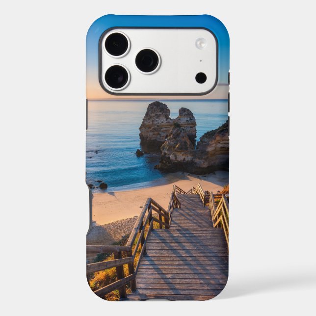 Notre Dame | Emblem Case-Mate  (Back)