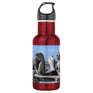 Notre Dame, Paris, France 532 Ml Water Bottle