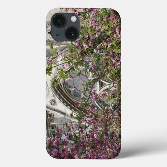 Notre Dame spring Case-Mate iPhone Case (Back)