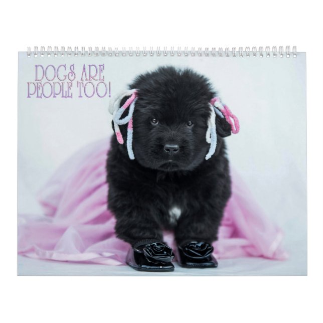 Notta Bear Dogs Are People Too! Calendar (Cover)