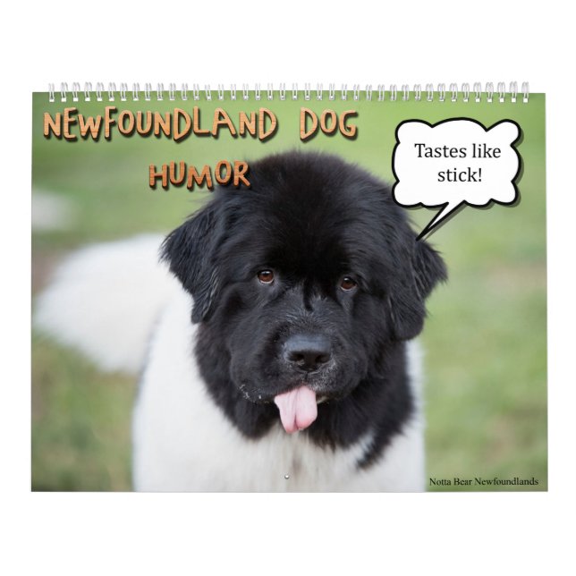 Notta Bear Newfoundlands Humour Calendar (Cover)