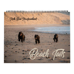 Notta Bear Newfoundlands Oregon Beach Calendar