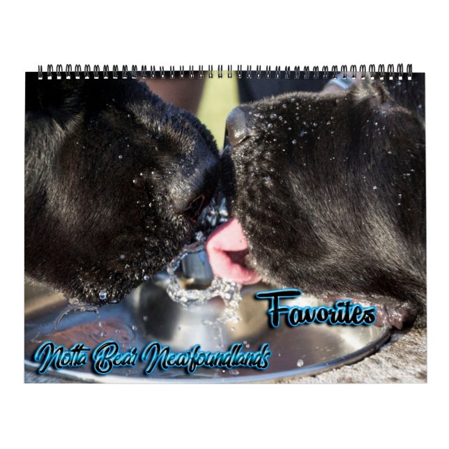 Notta Bear Photo Favourites Calendar (Cover)