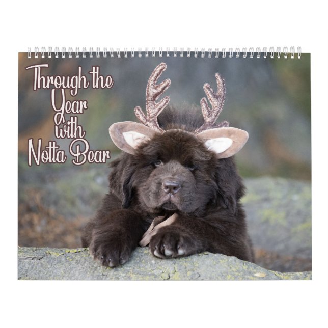 Notta Bear Through The Year Calendar (Cover)