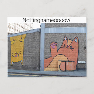Nottingham Cats Postcard