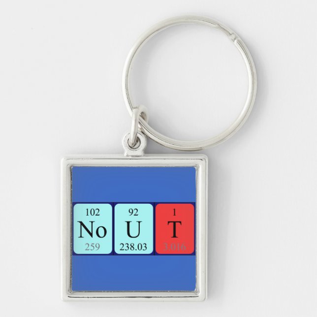 Nout periodic table name keyring (Front)