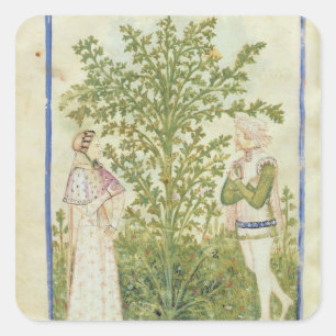 Nouv Acq Lat Celery, from 'Tacuinum Sanitatis' Square Sticker