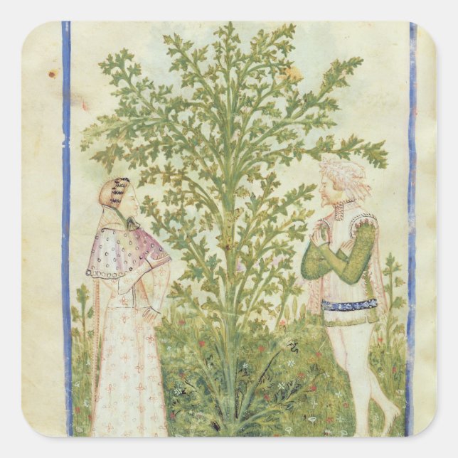 Nouv Acq Lat Celery, from 'Tacuinum Sanitatis' Square Sticker (Front)