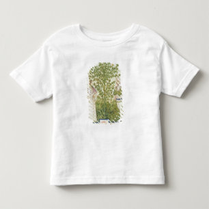 Nouv Acq Lat Celery, from 'Tacuinum Sanitatis' Toddler T-Shirt