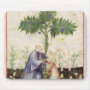 Nouv Acq LatFennel, from 'Tacuinum Sanitatis' Mouse Pad