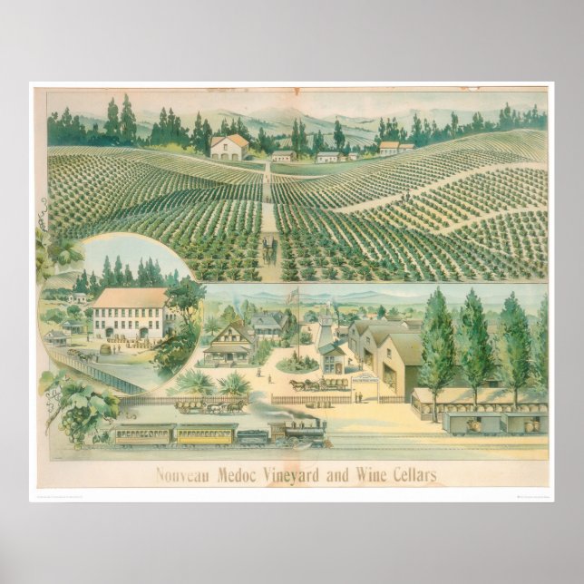 Nouveau Medoc Vineyard and Wine Cellars (1213A) Poster (Front)