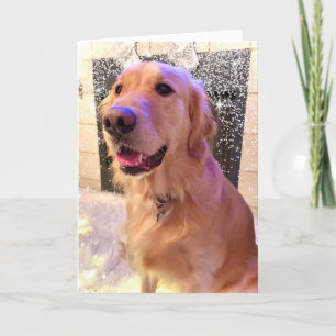 Nova Girl's Merry and Bright— Golden Retriever Dog Holiday Card