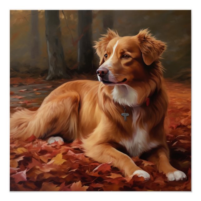 Nova Scotia Duck Terrier In Autumn Leaves Fall  Poster (Front)