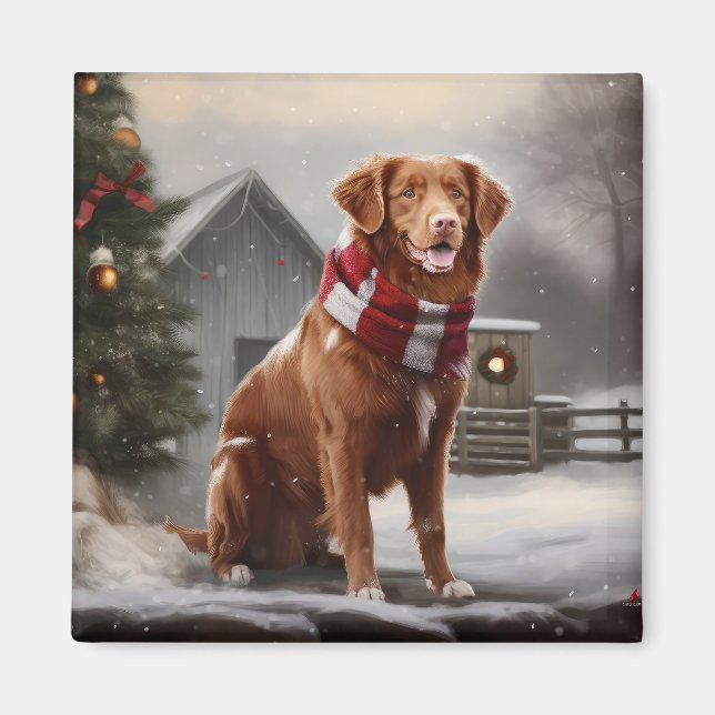 Nova Scotia Duck Toller Dog in Snow Christmas Magnet (Front)