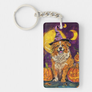 Nova Scotia Duck Toller Halloween Witch Pumpkin Key Ring