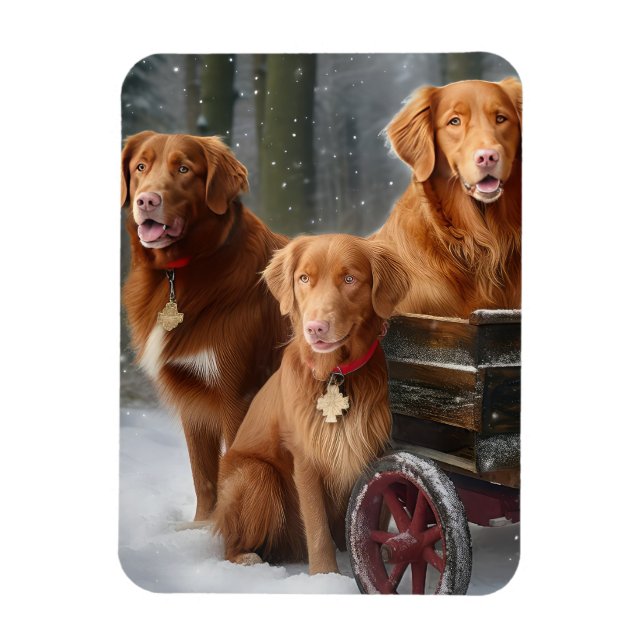 Nova Scotia Duck Toller Retriever Snowy Sleigh Magnet (Vertical)