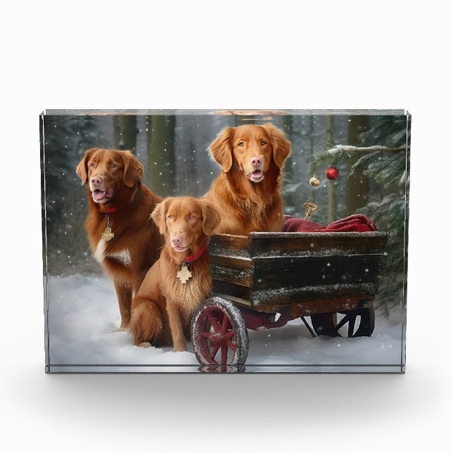 Nova Scotia Duck Toller Retriever Snowy Sleigh Photo Block (Front)