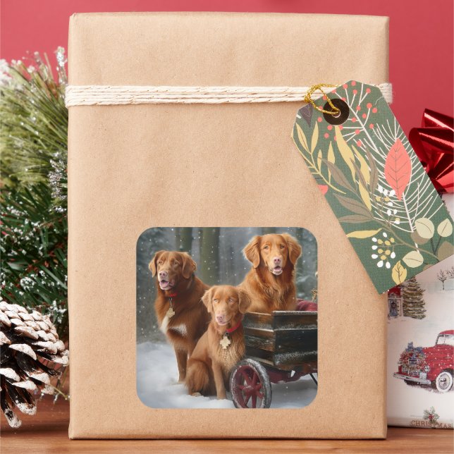 Nova Scotia Duck Toller Retriever Snowy Sleigh Square Sticker (Holiday)