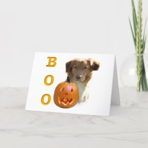Nova Scotia Duck Tolling Boo Card