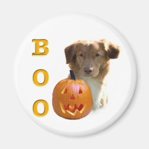 Nova Scotia Duck Tolling Boo Magnet