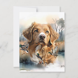 Nova Scotia Duck Tolling Retriever, Art Postcard