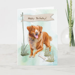 Nova Scotia Duck Tolling Retriever Birthday Sign Card