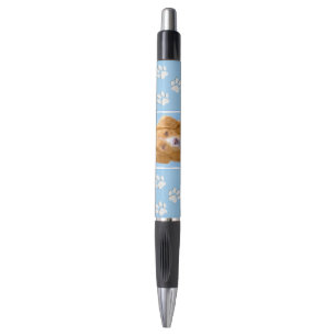 Nova Scotia Duck Tolling Retriever Dog Painting
